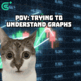 a cat is standing in front of a graph that says " pdv : trying to understand graphs "