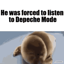 Depeche Mode Crying Seal GIF - Depeche Mode Crying Seal He Was Forced To GIFs