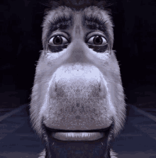 Gif Burro Shrek