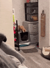 a cat is sitting in a cat litter box in a living room .