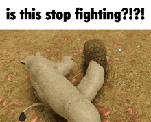 a lion and a lion cub are laying on the ground .