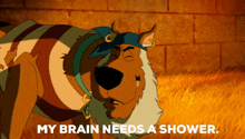 Scooby Doo Mystery Incorporated GIF - Scooby Doo Mystery Incorporated My Brain Needs A Shower GIFs