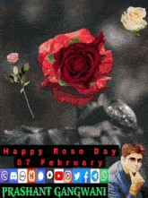 Happy Rose Day 7th February GIF - Happy Rose Day Rose Day 7th February GIFs