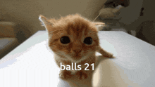 Balls 21 Balls Twenty-one GIF - Balls 21 Balls Twenty-one Balls GIFs