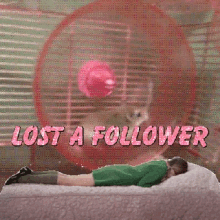 Lost A Follower Hamster GIF - Lost A Follower Hamster Wheel GIFs