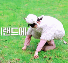 yang jungwon jungwon iland iland jungwon jungwon sheep