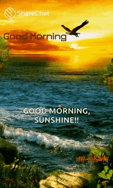 Goodmorning Sunrise GIF