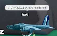 a picture of a plane with a speech bubble that says ' hiku '
