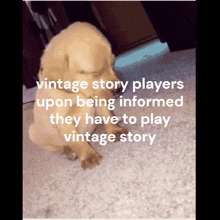 a picture of a puppy and the words vintage story players upon being informed they have to play vintage story