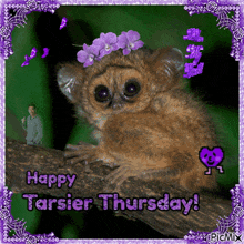 a happy tarsier thursday picture with a purple frame