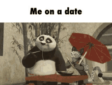 date panda kung fu panda po cat
