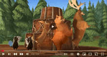 a screenshot of a video shows a deer a bear and a skunk