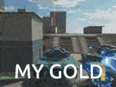 a screenshot of a video game with the words my gold on the bottom