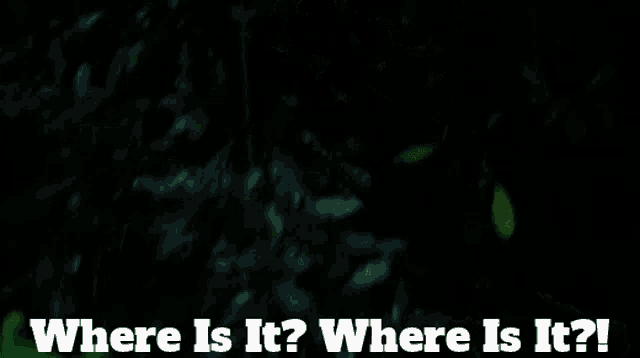 where is it ? where is it ? is written in white letters