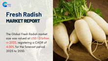 Fresh Radish Market Report 2024 GIF - Fresh Radish Market Report 2024 GIFs