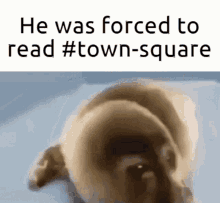 Everneth He Was Forced To Read Town Square GIF
