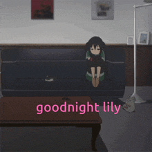 Good Night Lily GIF - Good Night Lily Anime GIFs