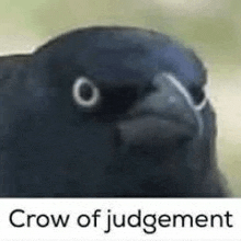 Crow Of Judgment GIF