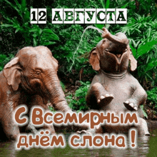 a greeting card with two elephants in the water with the date 12 august