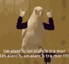 Alarch GIF - Alarch GIFs