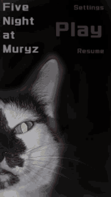 Muryz Cat GIF - Muryz Cat Fnam GIFs