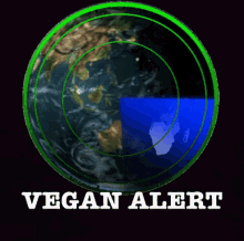 Novegan Vegan GIF - Novegan Vegan Alert GIFs