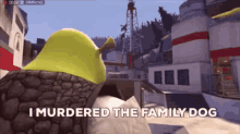 I Murdered The Family Dog Shrek GIF - I Murdered The Family Dog Shrek Blinks GIFs