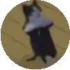 a black and white cat is in a circle on a wooden floor .