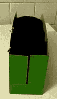 Black Cat Box Green GIF