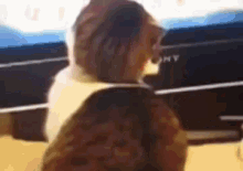 a blurred image of a person sitting in front of a sony monitor
