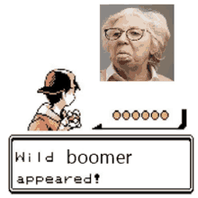 Wild Boomer Boomer GIF - Wild Boomer Boomer Pokemon GIFs