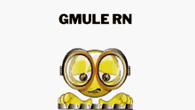 a cartoon smiley face wearing glasses and the word gmule rn on the bottom