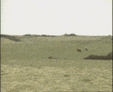 a man in a priest 's uniform is running through a grassy field .