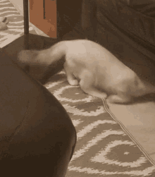 Hide Cat GIF - Hide Cat Under Couch GIFs