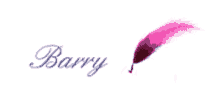 Barry Write GIF - Barry Write Feather GIFs