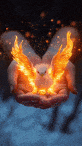 a person is holding a bird with flames coming out of its wings