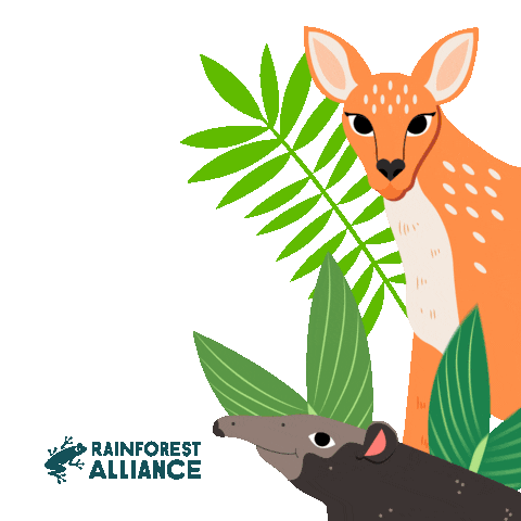 Tapir Animal Sticker - Tapir Animal Deer Stickers