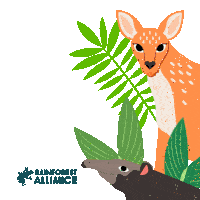 Tapir Animal Sticker