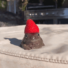 Strawberry Frog GIF - Strawberry Frog GIFs