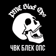 a black and white image of a skull with a crown on top