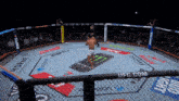 a fighter in a ufc ring with bud light and budweiser sponsors