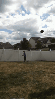 Catch Get The Ball GIF