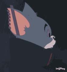 Tom And Jerry Akatsuki GIF