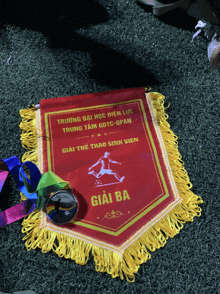 a medal sits on a red banner that says trường đại học dien luc
