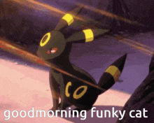 Funky Cat Gc Umbreon GIF - Funky Cat Gc Umbreon Good Morning GIFs
