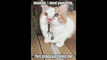 a cat with a lizard in its mouth is standing on a wooden porch .