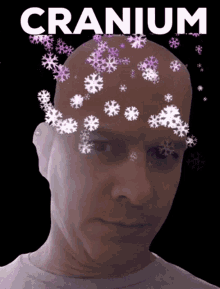 Bald Guy Cranium GIF - Bald Guy Cranium Snow Flakes GIFs