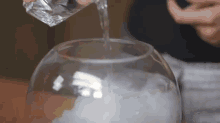 Deep Sea Cooking GIF - Cooking Mussels Scallops GIFs