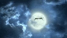 a bat is flying in front of a full moon in a cloudy night sky