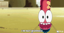 a cartoon character says " i 'm not worried " in front of a netflix logo